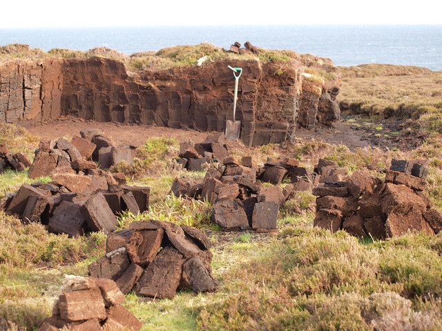 Peat Bricks